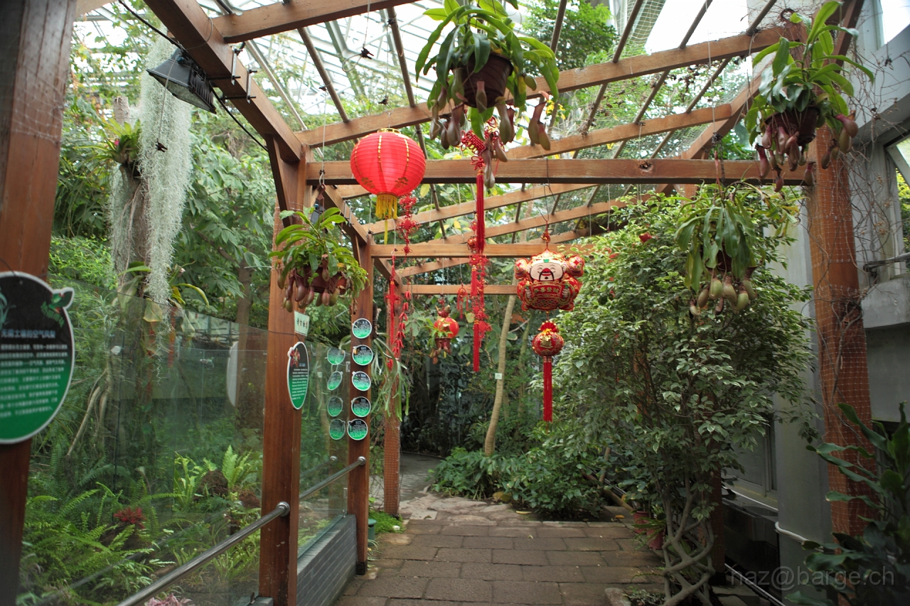 EOS 5D Mark II16_04_20134981.JPG